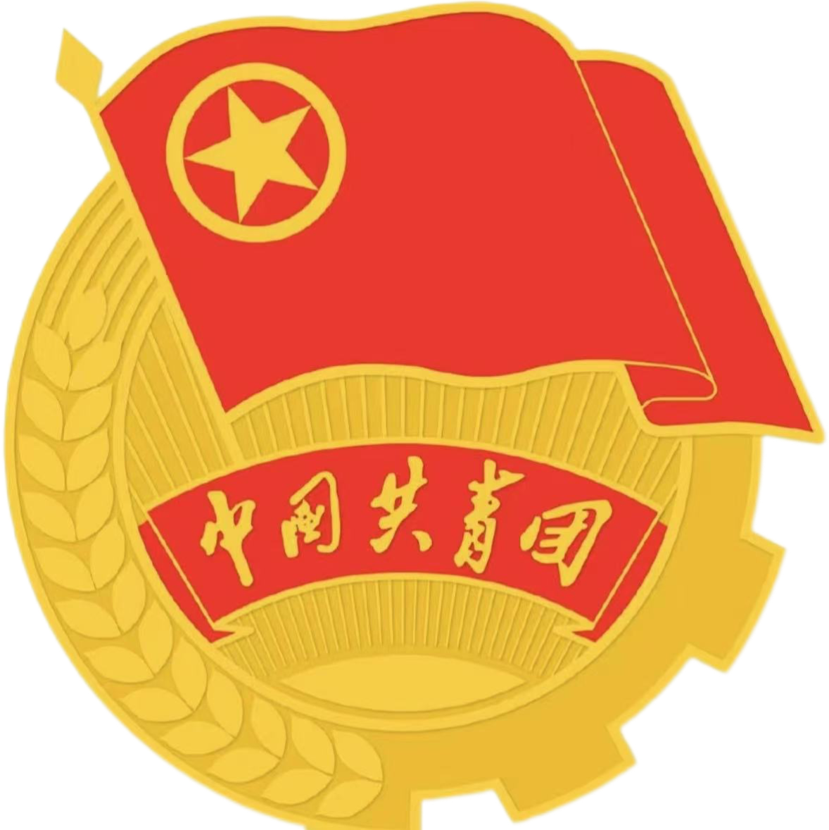C5317